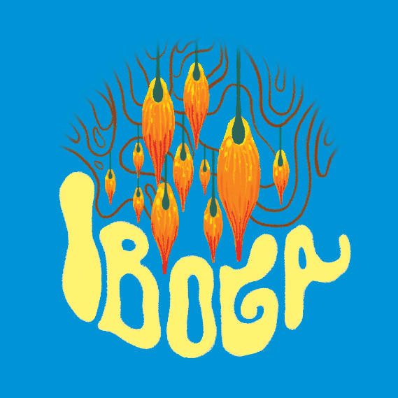 Iboga