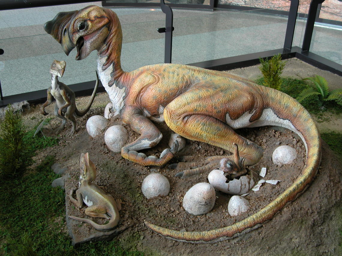 Oviraptorid dinosaur with eggs and babies.