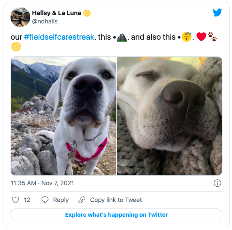 tweet reads: our #fieldselfcarestreak. shows photos of a dog in the mountains and cuddled up on the couch
