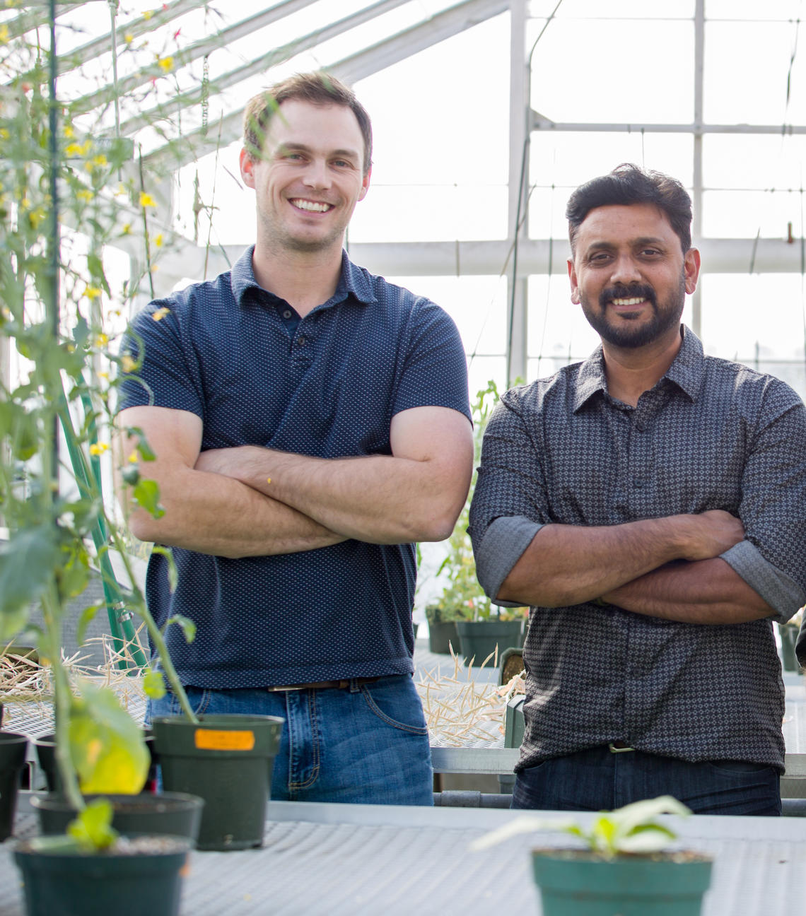 Drs. Logan Skori and Marcus Samuel in the Faculty of Science greenhouse