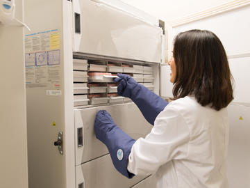 A centralized IMC biobank has been developed to process patient samples and samples for long term storage for future research in chronic disease. These shared samples are made available for all investigators and their collaborators.