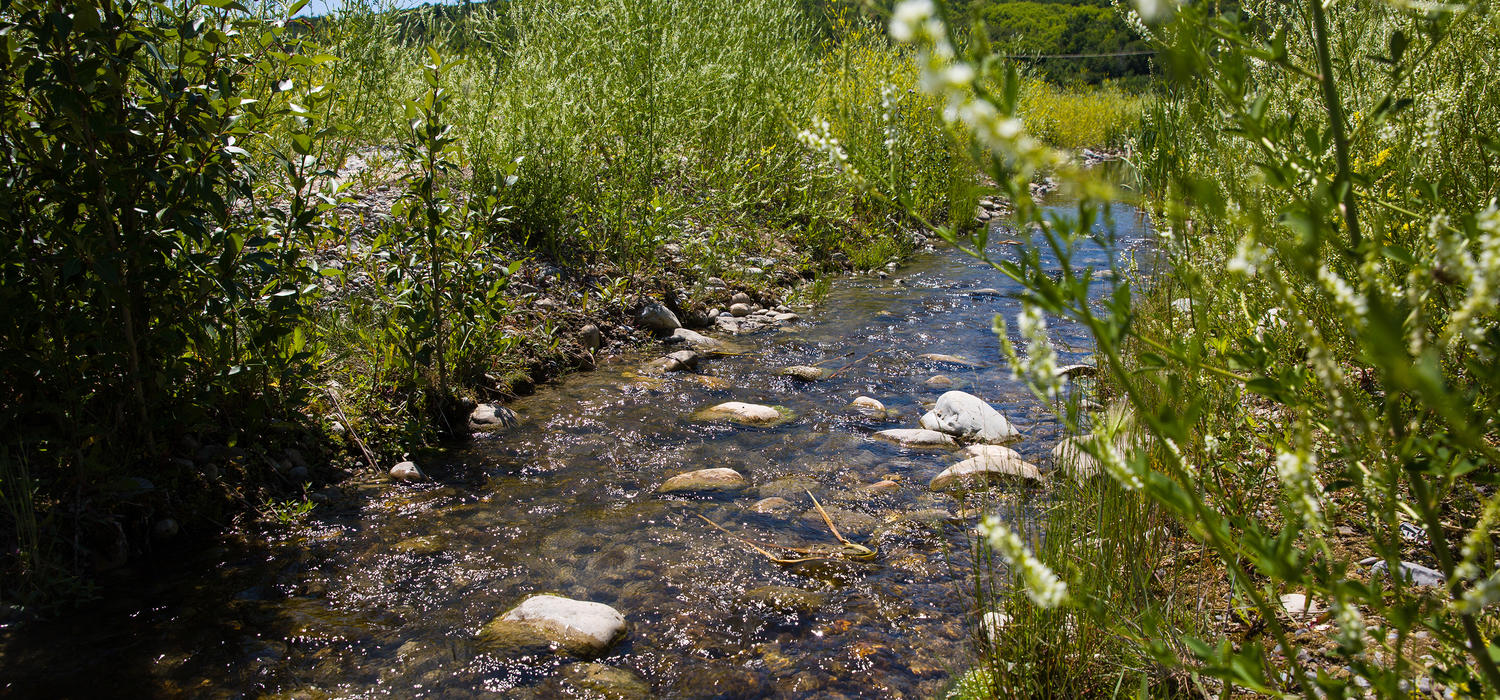 How UCalgary experts help keep Canada's water safe and sustainable