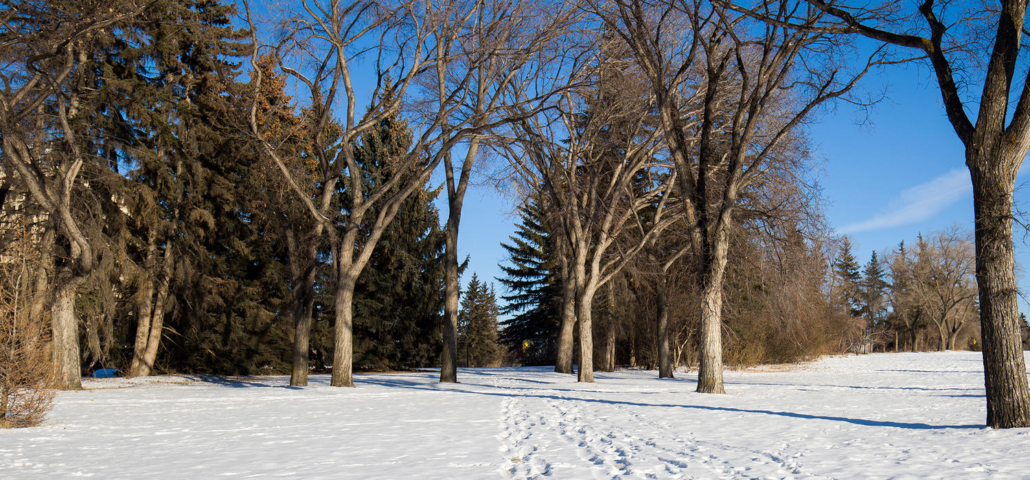 Photo of a sunny winter day at the University of Calgary campus