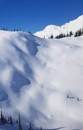 Wolverine tracks are visible in the snow covering a mountainside