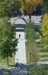 UCalgary campus in fall