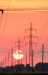 Rows of transmission lines at sunset