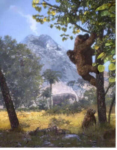 A re-creation by paleoartist Corbin Rainbolt of what Morotopithecus may have looked like