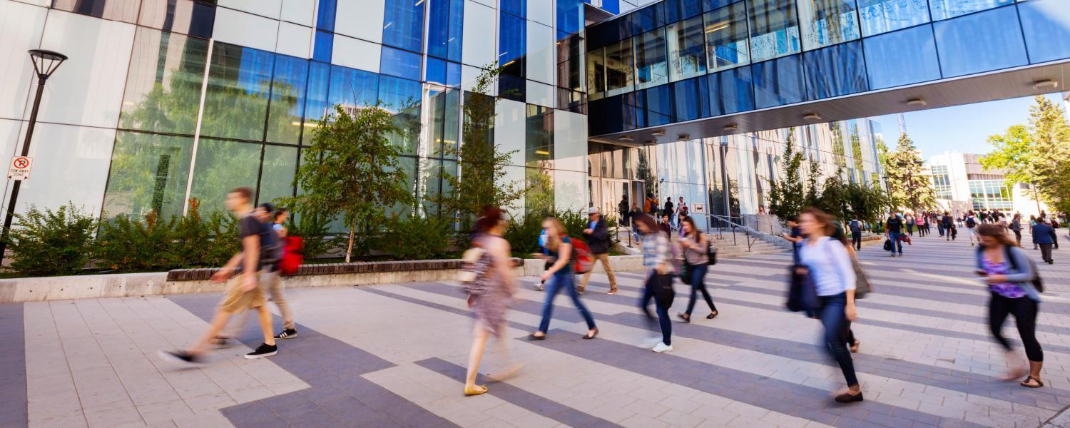Kinesiology - MKin - Course | Faculty of Graduate Studies | University