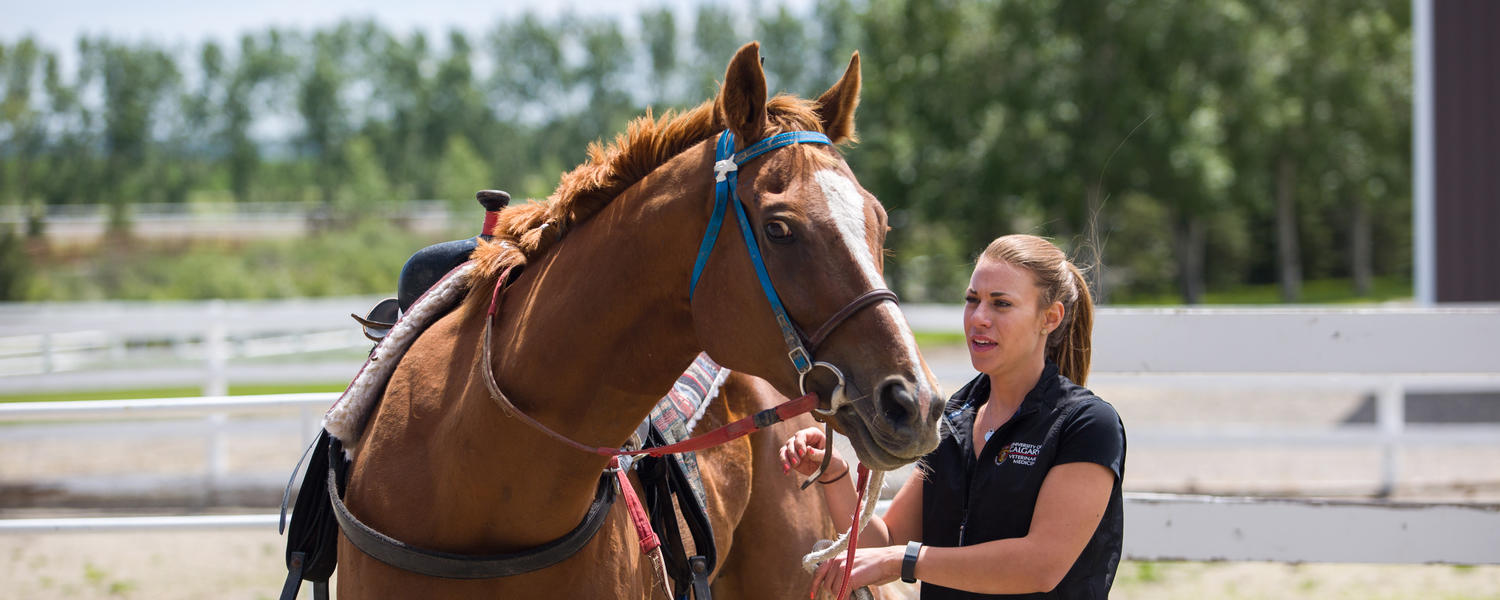 Ucalgary thesis template picture
