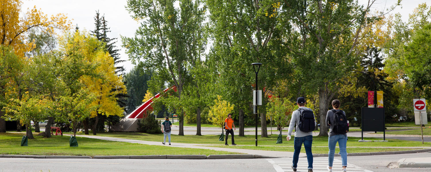 graduate studies services ucalgary alberta