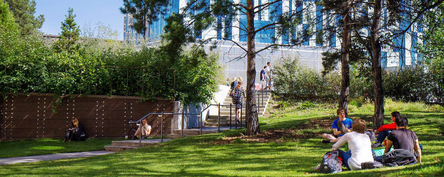 Sunny day on campus