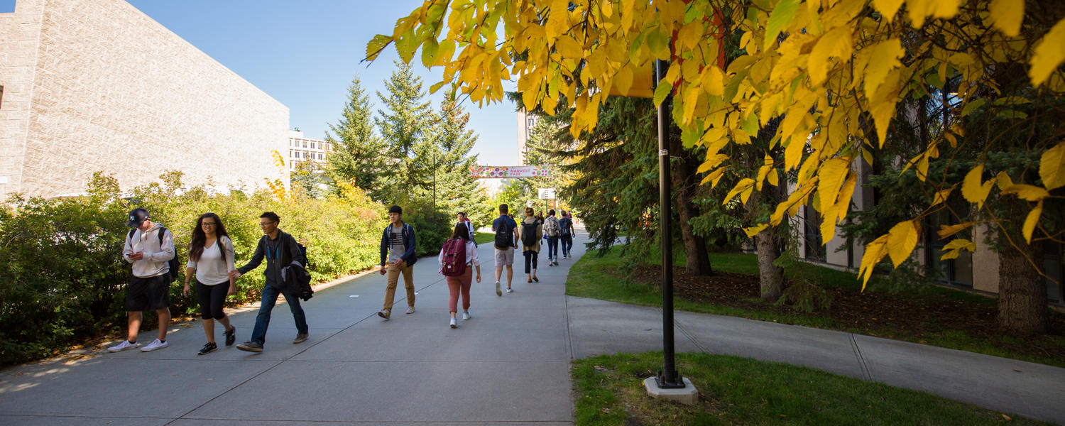 Fall on campus
