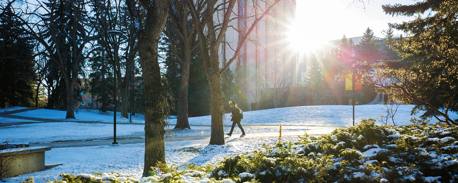 Winter on campus