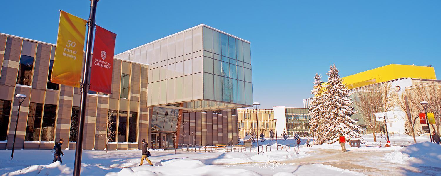 The Taylor Institute