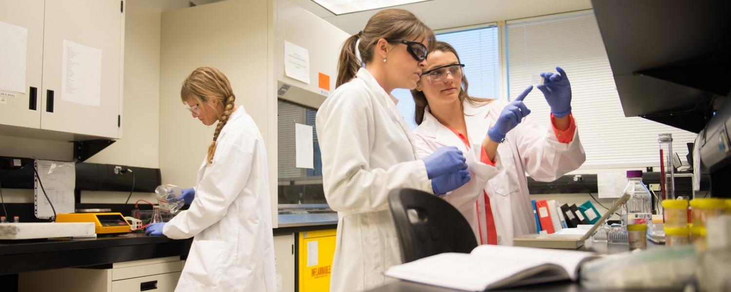 Uiowa thesis picture