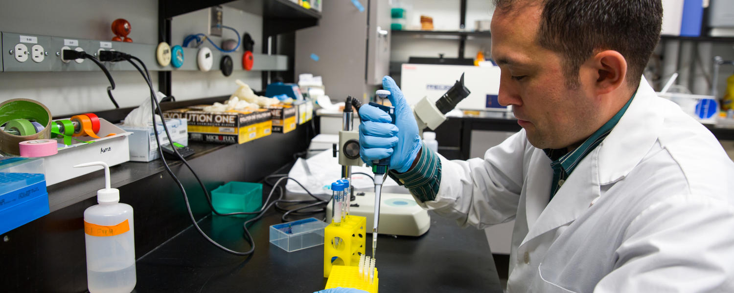 Researcher doing sleep study