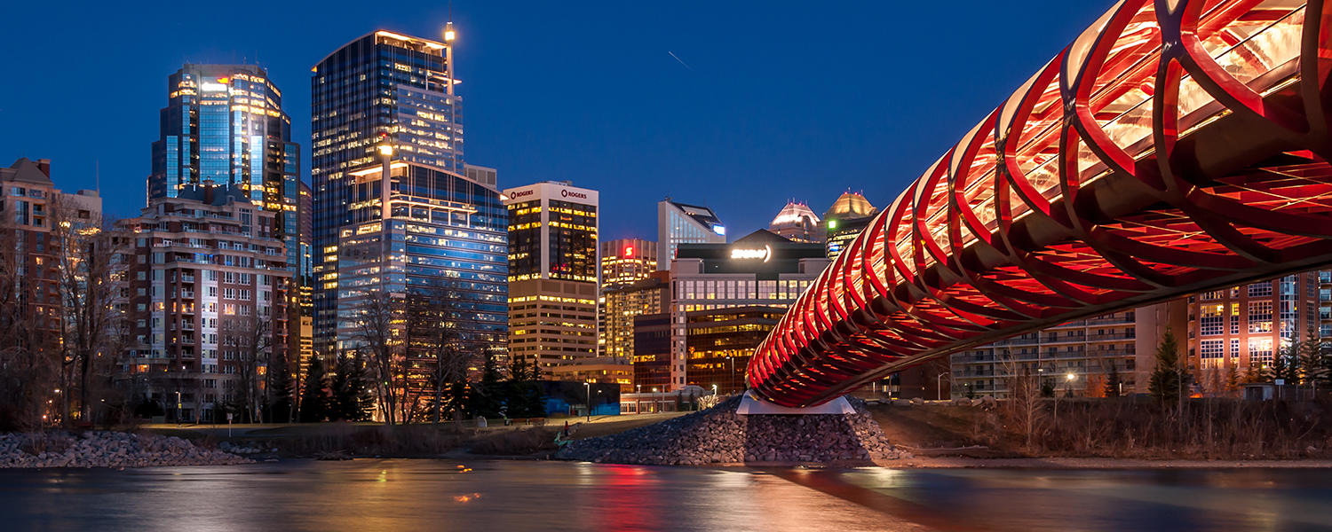 Peace Bridge at night