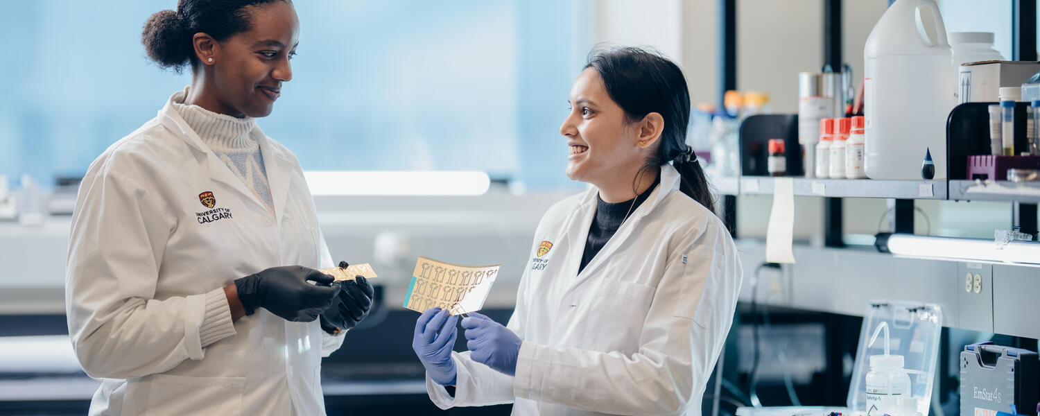 Two graduate student working in a biomedical engineering lab