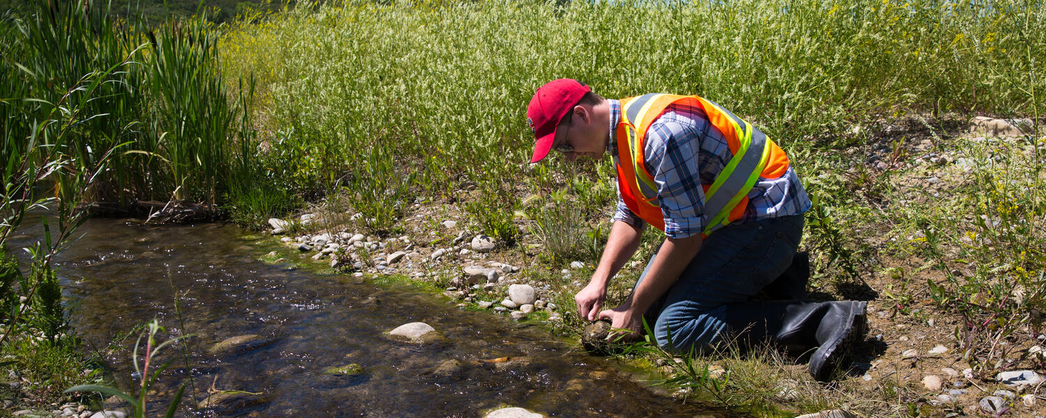 Sustainable Systems Engineering