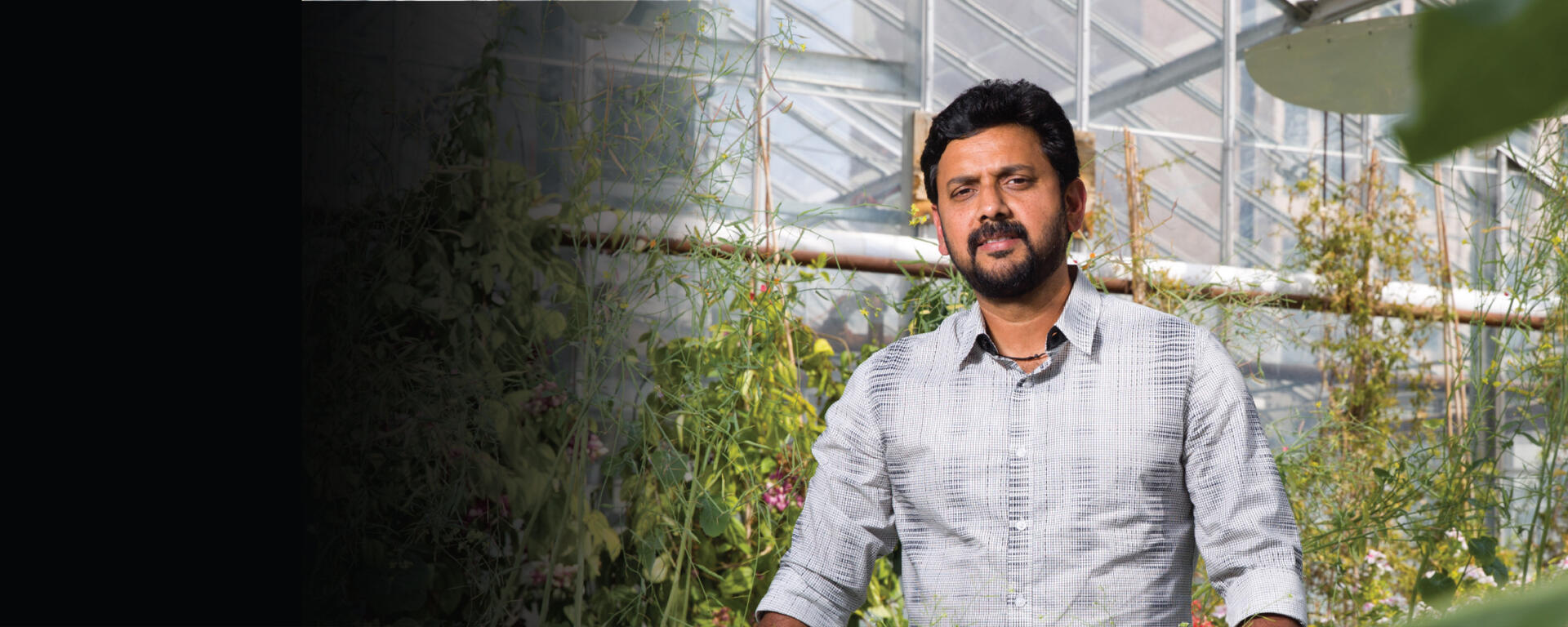 Person standing in greenhouse
