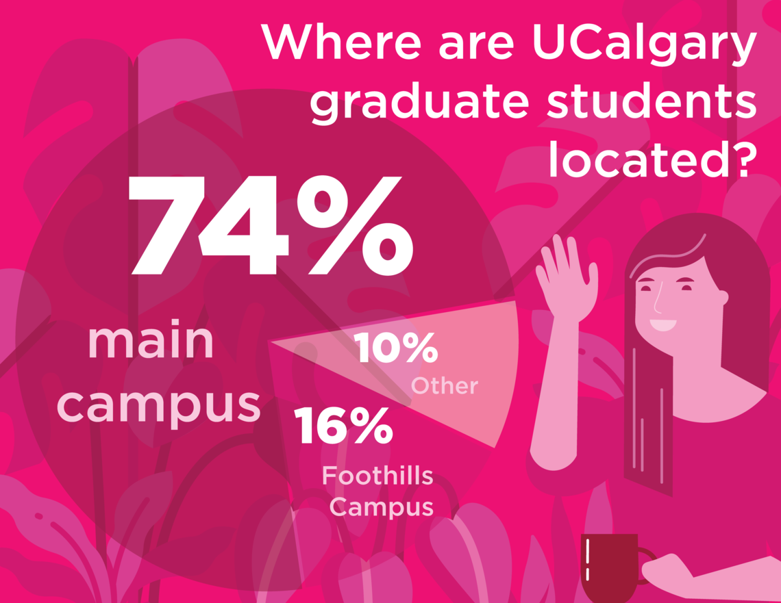 74% of students are on main campus, 16% foothills, and 10 other campuses
