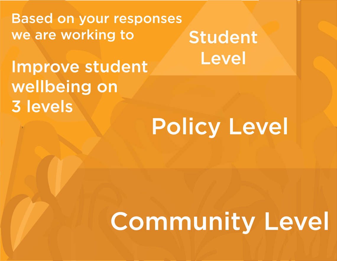 Improving student wellbeing on a student, policy, and community level