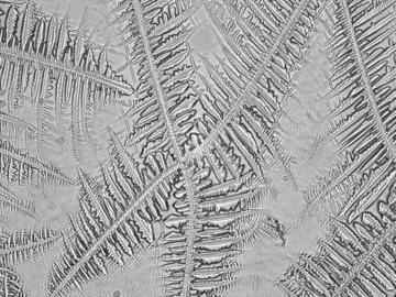 Nano-scale dopamine polymer forms kirigami like pattern under theUV-light. 