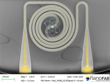 Image captured with a scanning electron microscope (SEM) which reveals spirals and paths