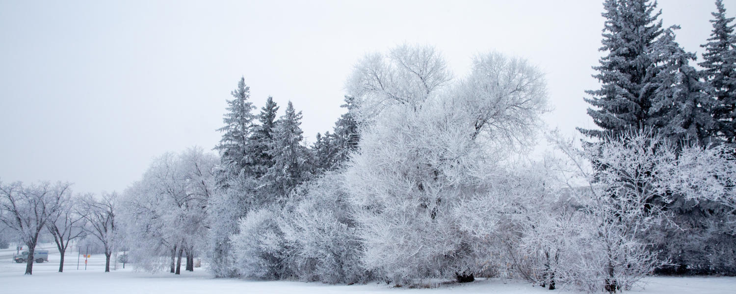 Campus in winter