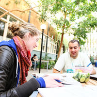 Students studying