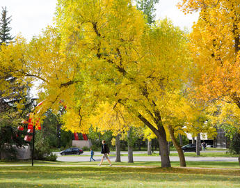 campus