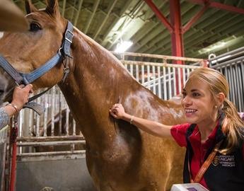 Student with horse